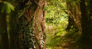 Bahar Dönemi İndirimlerinde Popüler Ürünler